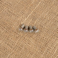 Set of Four Bulbs