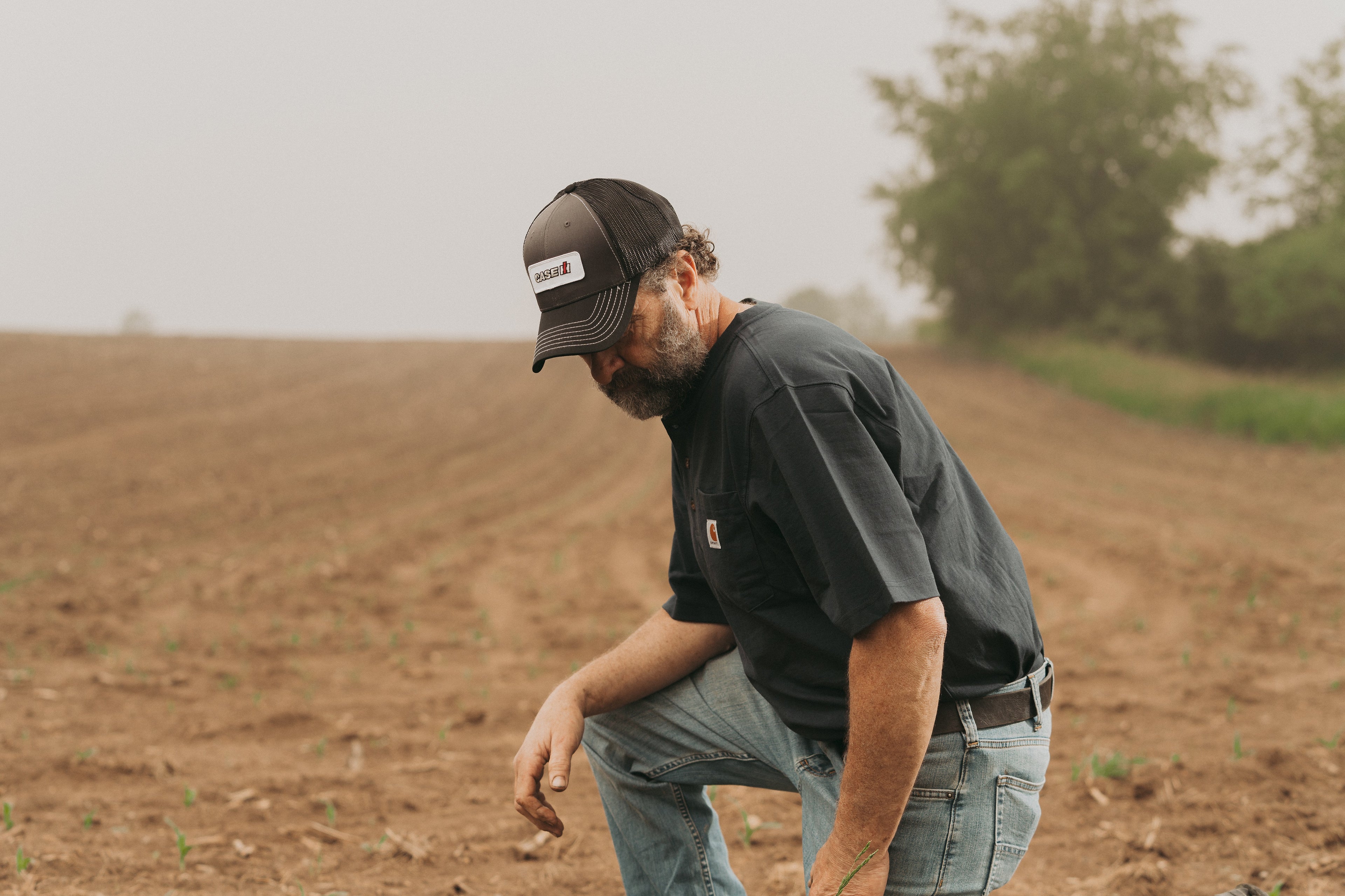 CaseIH Logo Hat, Gray with Black Mesh Back