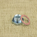 Oil Pressure Relief Valve Nut and Gasket