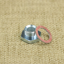 Load image into Gallery viewer, Oil Pressure Relief Valve Nut and Gasket