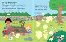 Load image into Gallery viewer, My First Book About How Things Grow