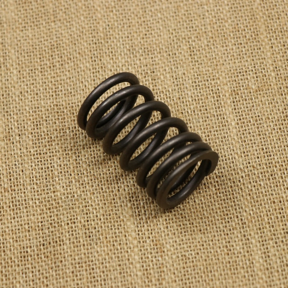 Valve Spring