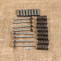 Valve Kit for Massey Ferguson