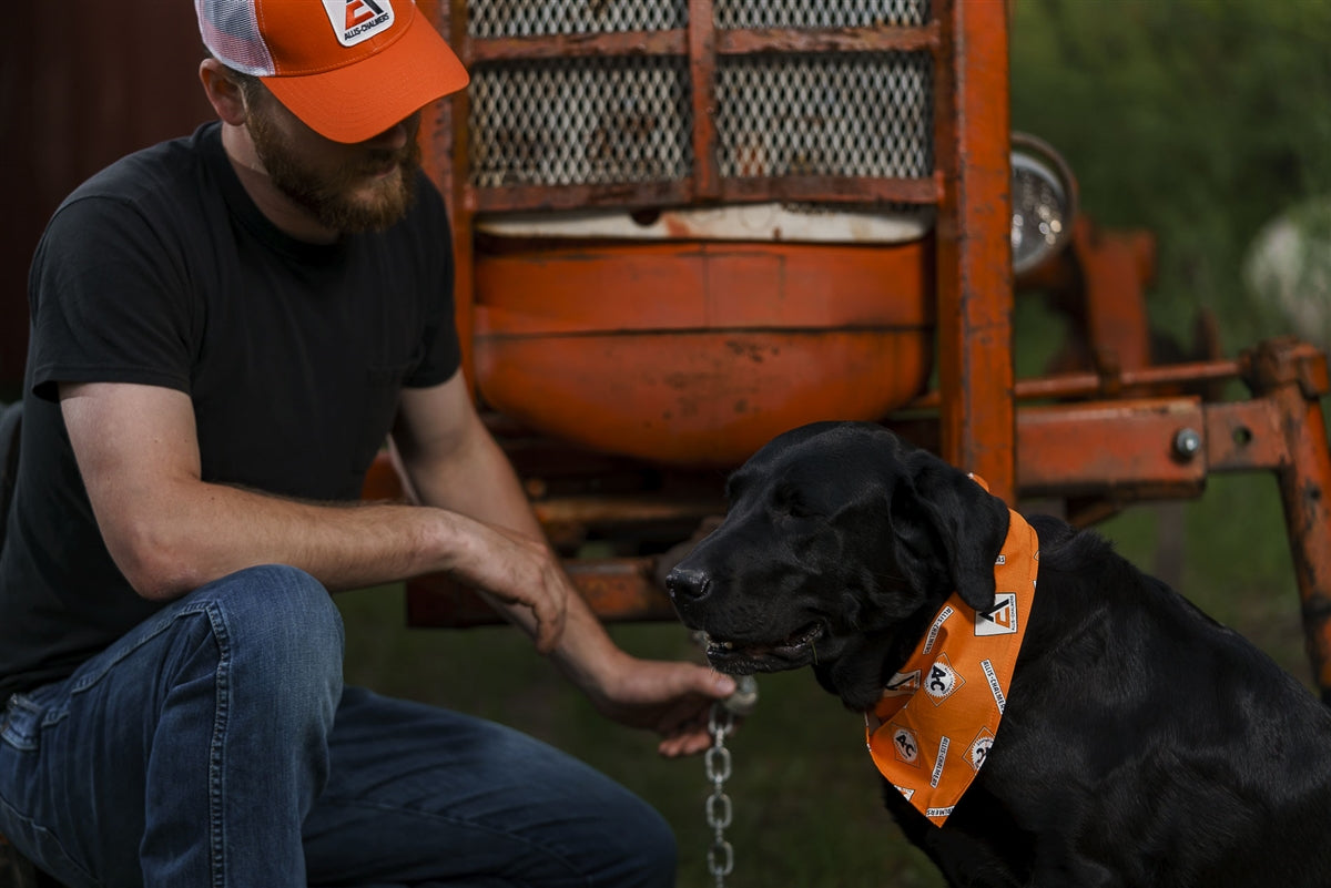 Allis Chalmers Logo Dog Bandanna