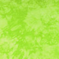 Lime Green Blender Fabric