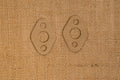 Set of Gaskets for Pump Support Pegs