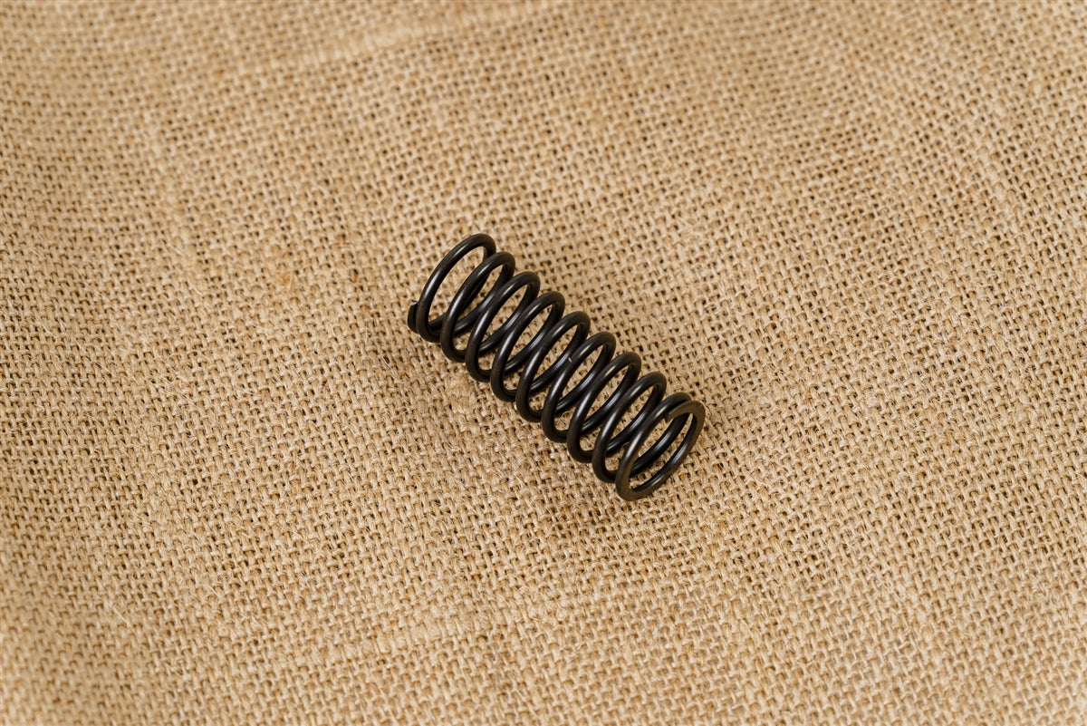 Individual Valve Spring