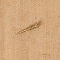 Holley Main Needle with Spring