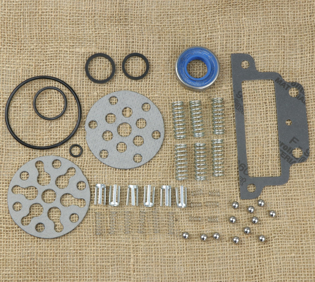 Hydraulic Pump Repair Kit, Economy