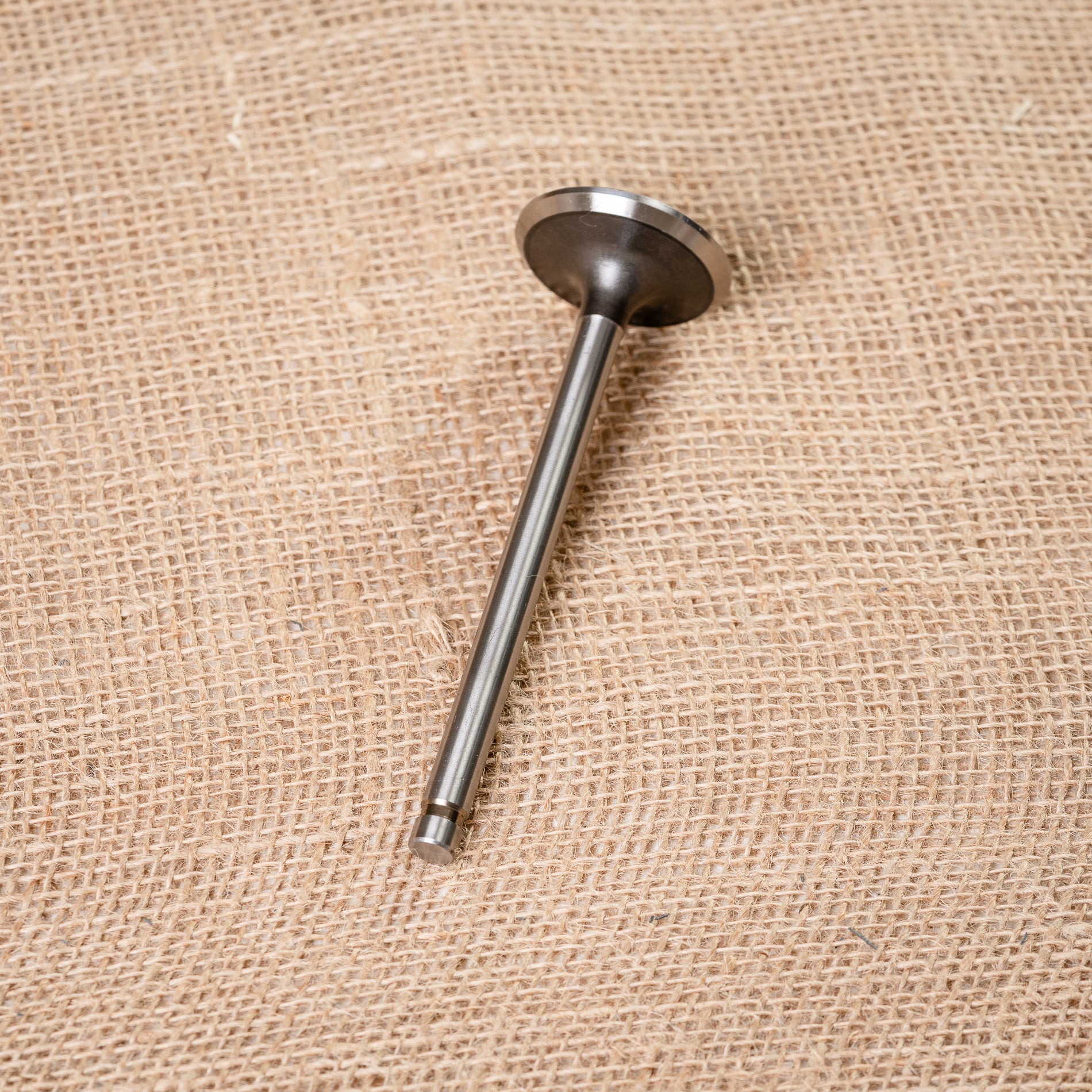 Individual Intake Valve