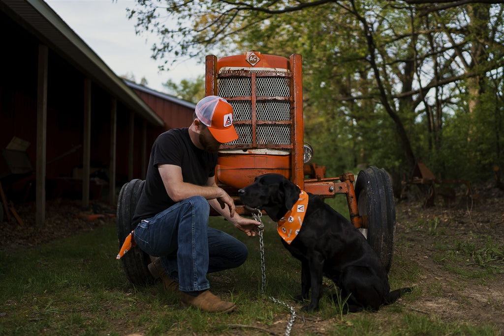 Allis Chalmers Hat, new logo, orange with white mesh