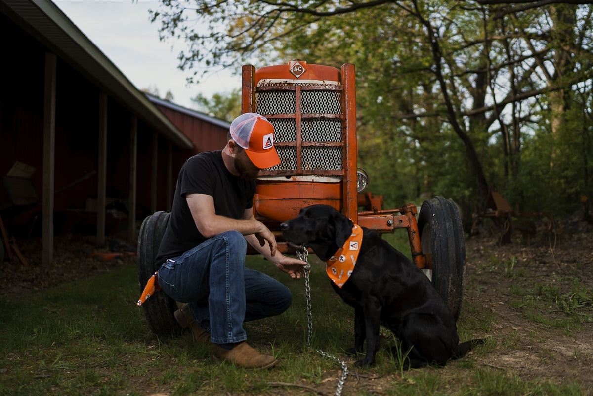 Allis Chalmers Hat, new logo, orange with white mesh