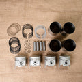 Sleeve and Piston Kit